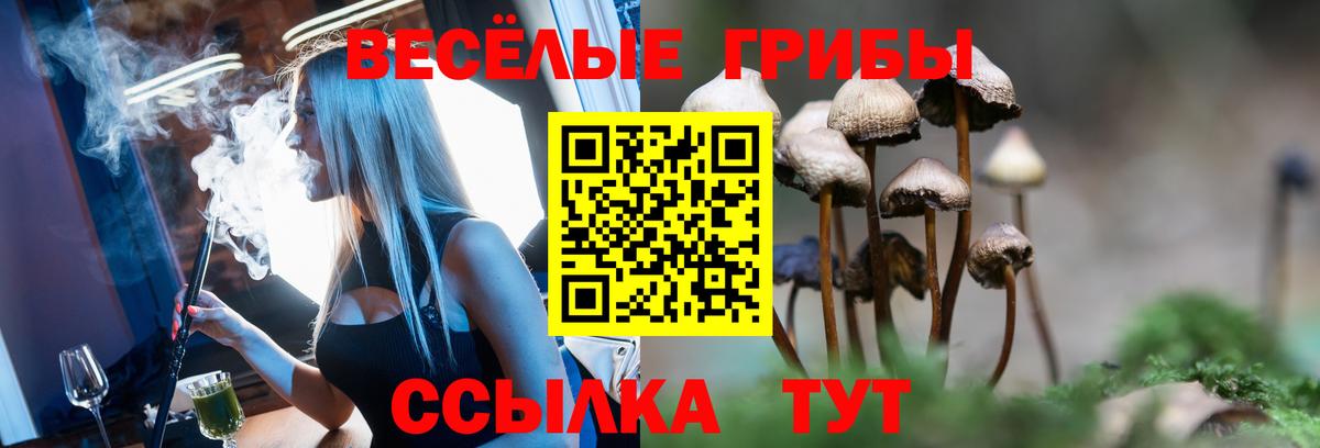 наркотики  Вход с VPN  Ухта  Галлюциногенные грибы Psilocybine cubensis 